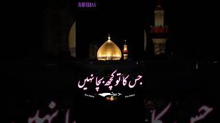 Nohay Mara lmam Hussain | میرا نام حسینؑ | #aunabbas #nohay #shots 🙏🏻