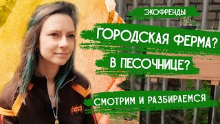 Plantация, Минск – Экологические инициативы | Экофренды:  Городская ферма. Добры канал