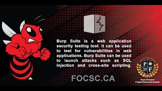 Learn How to Use Burp Suite for Web Application Security Testing