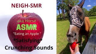 NEIGH-SMR ~ (aka #Horse ASMR) Have you ever seen a #horse eat an apple 🍎 like a human? CUTE #shorts