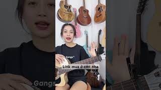 Phụ kiện không thể thiếu cho Guitar #guitar #phukienguitar