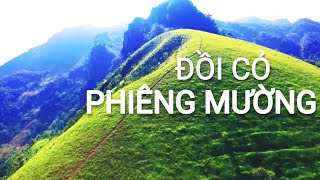 ĐỒI CỎ PHIÊNG MƯỜNG | CAO BẰNG