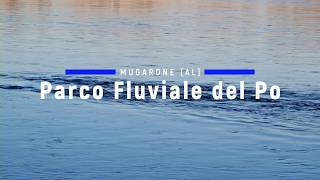 Mugarone - Fiume Po