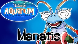 My Singing Monsters - Manatis (Atlantic Aquarium)