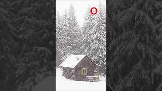 2 hours of pleasant natural sounds - Snow in the forest.