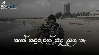 des piyagena ma nube තුරුලේ සිටි අයුරු