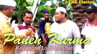 Panen Kurma Kayangan dihadiri Imam Besar dari Qatar Asal Indonesia @EHE Electro Kayangan