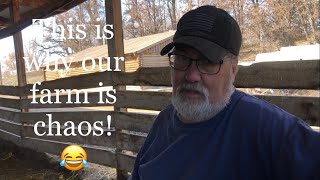 Lambing diaries: It’s all his fault! Vlog 545