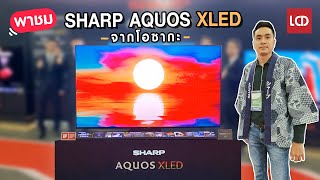 บุกโอซากะ ! พาชม SHARP AQUOS XLED ทีวีรุ่นเรือธงสเปคสุดโหดครั้งแรก