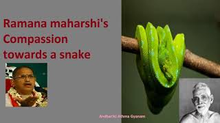 Ramana Maharshi's Compassion Towards a Snake | Chaganti