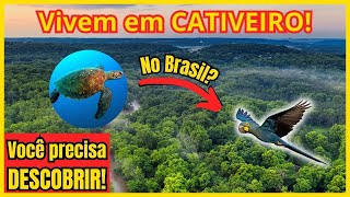 Lista de 12 ANIMAIS que VIVEM em CATIVEIRO!