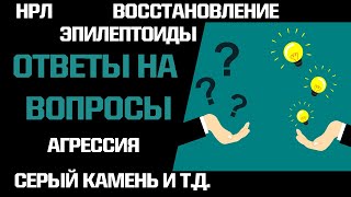 Ответы на вопросы: НРЛ, серый камень, эпилептоиды, восстановление после абьюза и т д