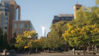 New York City | Fall walks