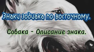 Знаки зодиака по восточному. Собака - Описание знака.