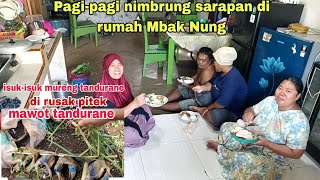 Isuk-isuk di gawe mureng gara-gara pitek ajor tandurane || lanjut sarapan di rumah Mbak Nung