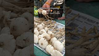 How to cook Mushroom curry in Tripuri style | #shorts #mushroom #recipe #tiprasa #northeast #food