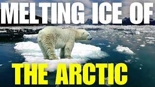 The Arctic's Tears: Witnessing a World, We're Melting Away