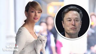 Elon Musk Offers to GIVE Taylor Swift 'A CHILD' ?