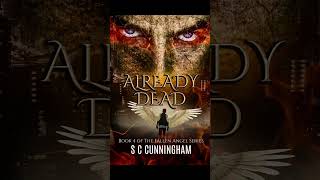 Crime. Family Drama. Rogue Police. Undercover Ops. Karma. THE FALLEN SERIES by SCCunningham. Amazon