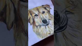 Dogs Painting with Acrylics || How to paint a Dog