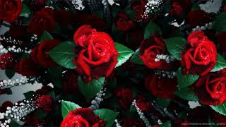 Roses Flowers Motion Graphic Free Background 4K Valentine's Day VFX Video Animation Stock Footage