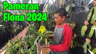 Beragam Warna dan Pilihan, Serunya Berburu Anggrek di Pameran FLONA 2024