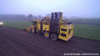 3x Ropa Rübenroder RoRo Geest GbR (Zuckerrübe, Nordzucker, Landwirtschaft - Agriculture)