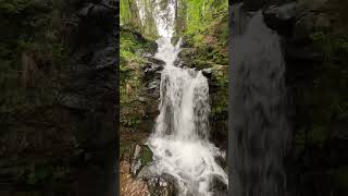 De Todtnauer Wasserfall  #waterfall #waterval #wasserfall