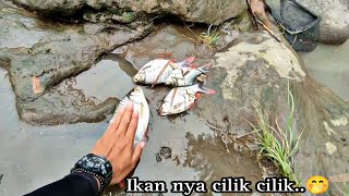 Mancing Ikan Gurih Pakai Umpan Usus Ayam #mancingbader