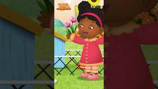 Dancing with Ducky| Daniel Tiger