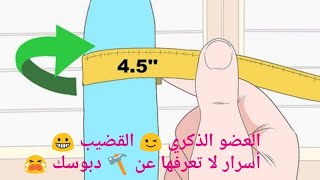 القضيب؟ العضو الذكري معلومات تعرفها لأول مرة عن قضيبك