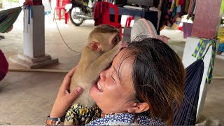 BiBi smart baby monkey kiss her mother