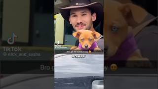 We found the guy with THE CHIWEAGLE puppy 🥹… so ADORABLE 🥹🥰 #puppy #dog #cuteanimals