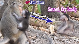 Attractive Baby Monkey 2020, Extremely Cry loudly, Baby Simone very Scared | Small baby Confused Mom