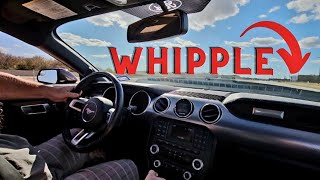 WHIPPLE GEN 3 MUSTANG making HARD 60-130 PULLS!