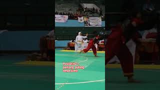 #pencaksilat #tapaksuciindonesia #smpunggulan #juara 1#fitri(merah)