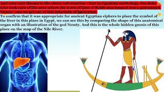 19. Ancient Egipt, Nile River - Men, Qau el- Kebir - Liver