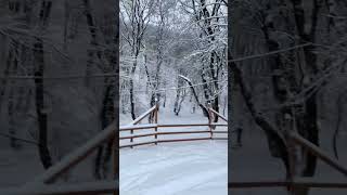 Snow❄️ #nature #beautiful #relaxing