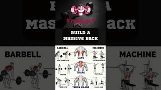 Build a Massive Back #shorts