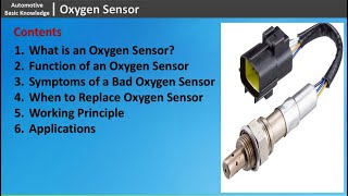 Oxygen Sensor