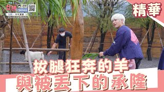 不受控的 #FEniX 與 不受控的羊群🐏 真的太鬧啦！｜拜託了女神第四季 ep.２精華