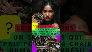 ? Le saviez vous : Un Serpents qui fait fondre la chair humaine au Brésil #brésil #serpent