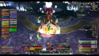 EFA vs 25m Grand Empress Shek'zeer Feral Druid PoV