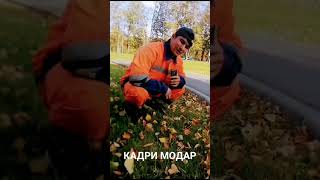 Давлат Кадри Модар