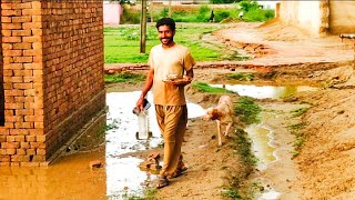 Beautiful Village life In Pakistan|Mud House|Chenab river bridge|Punjab culture|Charming Pakistan