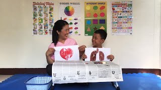 Kindergarten MELC-Based Activity in Quarter 1 Week 6- Symmetry: Lungs and Heart