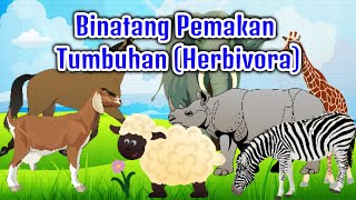 Belajar Mengenal Nama Binatang Pemakan Tumbuhan  (Herbivora)