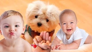 Best Funny Babies Laughing Compilation - Funny World