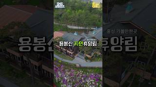 산림욕을 즐기기에 최적의 환경 용봉산자연휴양림  [홍성군SNS서포터즈]