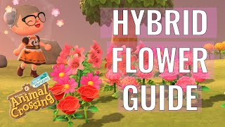 HYBRID FLOWER GUIDE: Animal Crossing New Horizons increase your chances for hybrid flowers